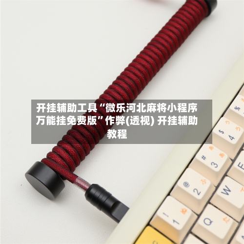 开挂辅助工具“微乐河北麻将小程序万能挂免费版”作弊(透视) 开挂辅助教程