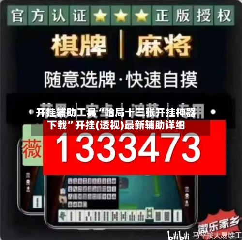 开挂辅助工具“哈局十三张开挂神器下载”开挂(透视)最新辅助详细-第2张图片