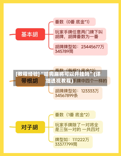 [教程经验]“哈狗麻将可以开挂吗”(详细透视教程)-第3张图片