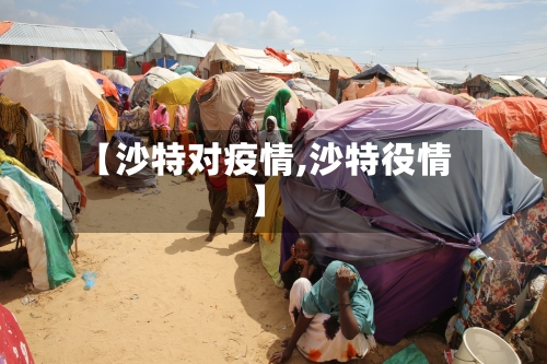 【沙特对疫情,沙特役情】