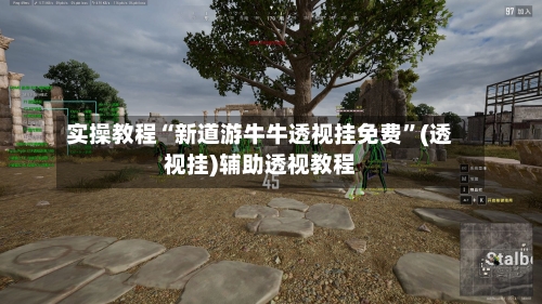 实操教程“新道游牛牛透视挂免费”(透视挂)辅助透视教程-第1张图片