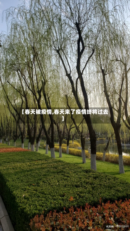 【春天被疫情,春天来了疫情终将过去】