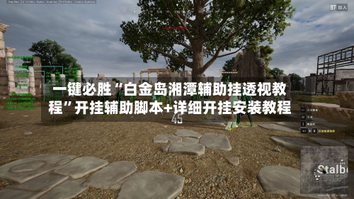 一键必胜“白金岛湘潭辅助挂透视教程”开挂辅助脚本+详细开挂安装教程