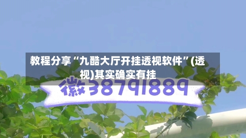 教程分享“九酷大厅开挂透视软件	”(透视)其实确实有挂-第2张图片