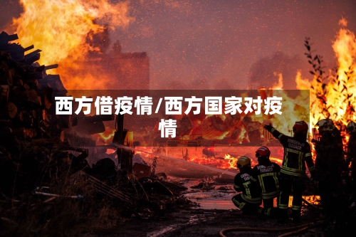 西方借疫情/西方国家对疫情