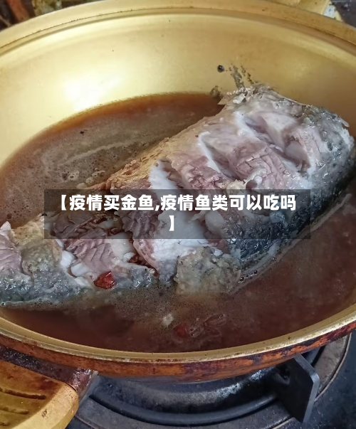 【疫情买金鱼,疫情鱼类可以吃吗】