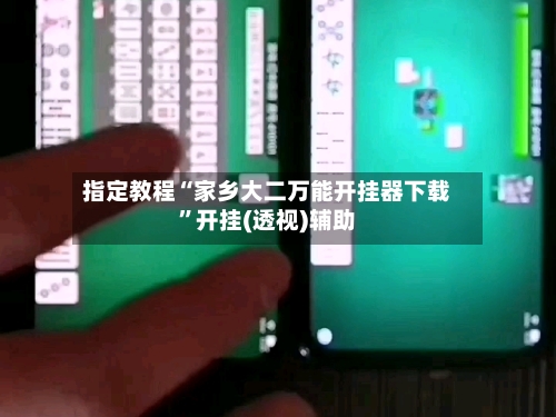 指定教程“家乡大二万能开挂器下载”开挂(透视)辅助-第2张图片