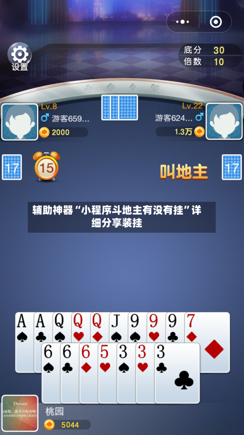辅助神器“小程序斗地主有没有挂”详细分享装挂