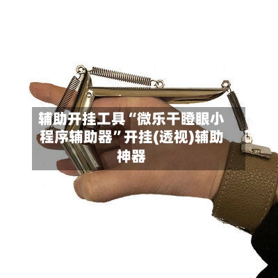 辅助开挂工具“微乐干瞪眼小程序辅助器”开挂(透视)辅助神器-第3张图片