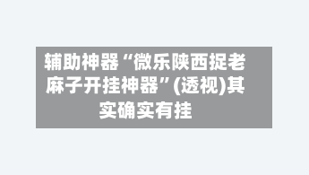 辅助神器“微乐陕西捉老麻子开挂神器”(透视)其实确实有挂