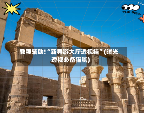 教程辅助!“新导游大厅透视挂”(曝光透视必备猫腻)