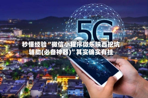 秒懂经验“微信小程序微乐陕西挖坑辅助(必备神器)”其实确实有挂-第3张图片