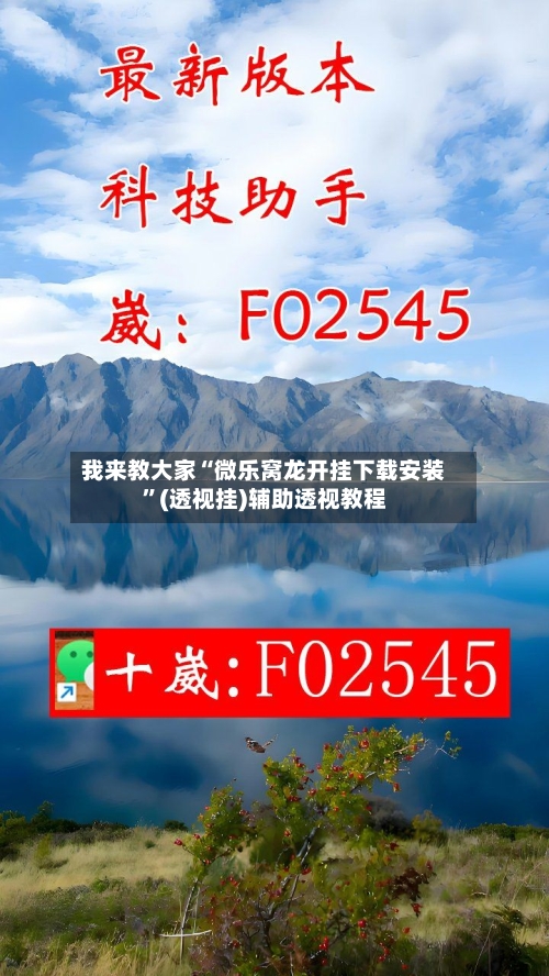我来教大家“微乐窝龙开挂下载安装	”(透视挂)辅助透视教程-第2张图片