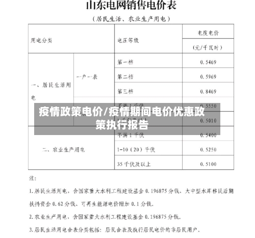 疫情政策电价/疫情期间电价优惠政策执行报告