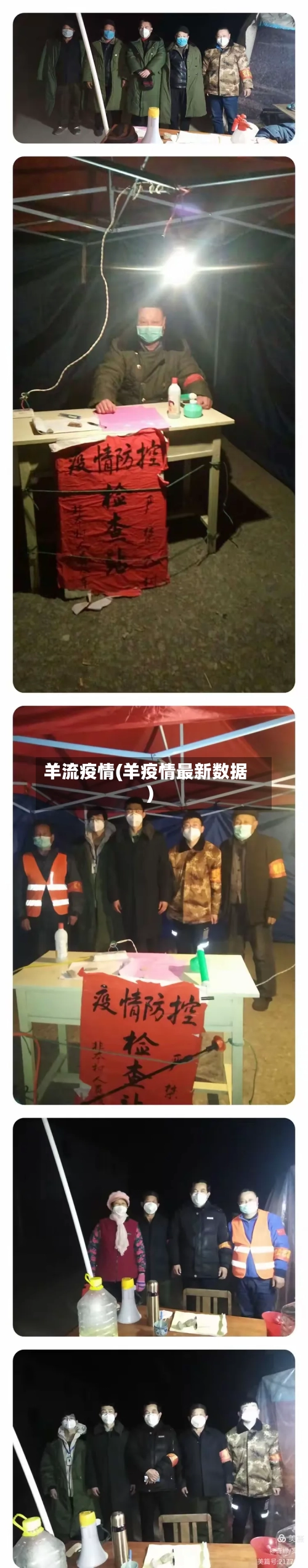 羊流疫情(羊疫情最新数据)