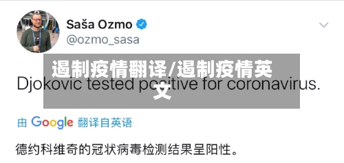 遏制疫情翻译/遏制疫情英文