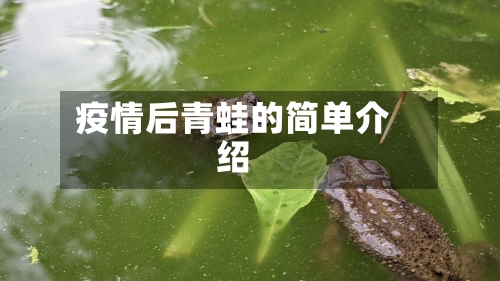 疫情后青蛙的简单介绍