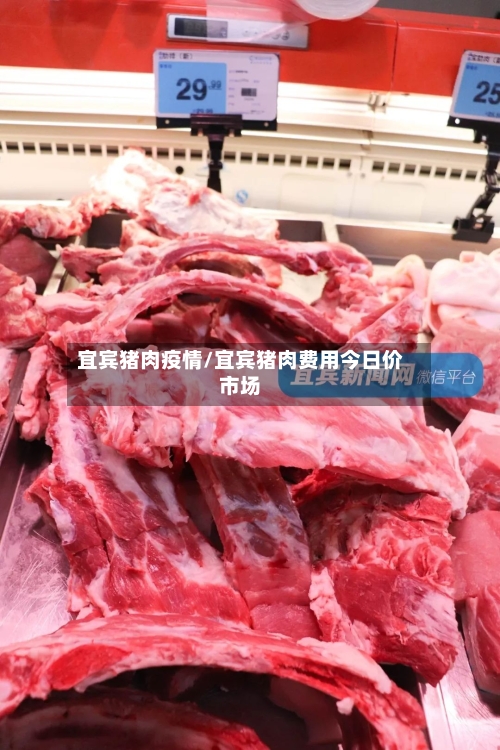 宜宾猪肉疫情/宜宾猪肉费用今日价市场