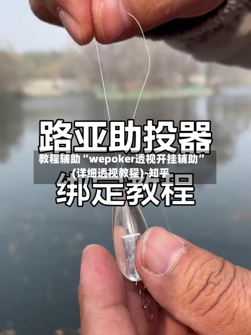 教程辅助“wepoker透视开挂辅助”(详细透视教程)-知乎-第1张图片