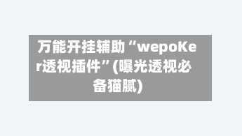 万能开挂辅助“wepoKer透视插件”(曝光透视必备猫腻)