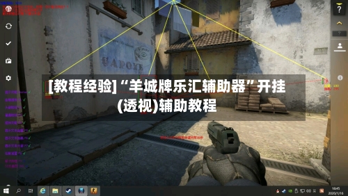 [教程经验]“羊城牌乐汇辅助器”开挂(透视)辅助教程
