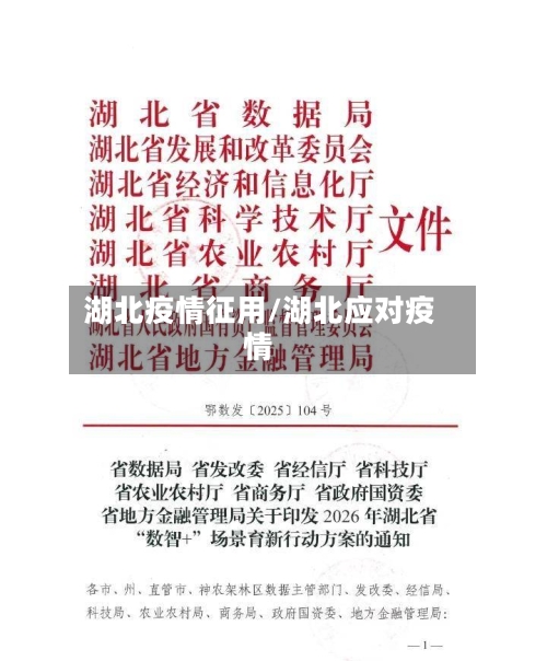 湖北疫情征用/湖北应对疫情