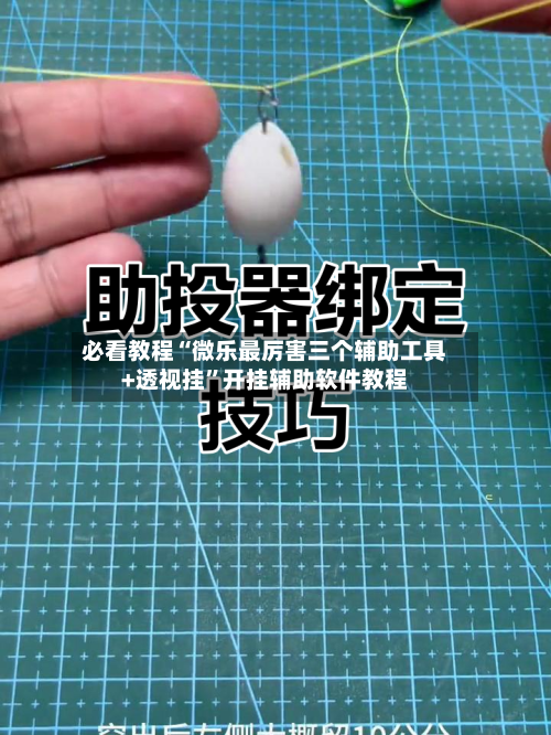 必看教程“微乐最厉害三个辅助工具+透视挂”开挂辅助软件教程