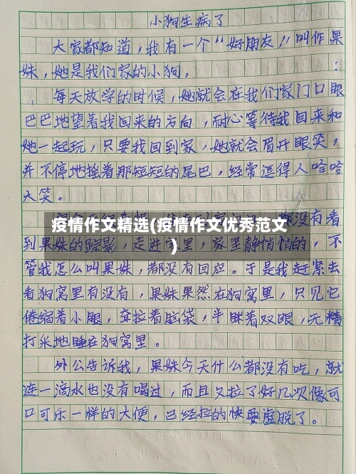 疫情作文精选(疫情作文优秀范文)