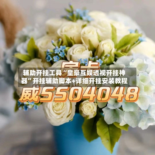 辅助开挂工具“皇豪互娱透视开挂神器”开挂辅助脚本+详细开挂安装教程