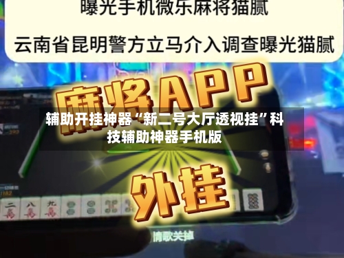 辅助开挂神器“新二号大厅透视挂”科技辅助神器手机版-第1张图片