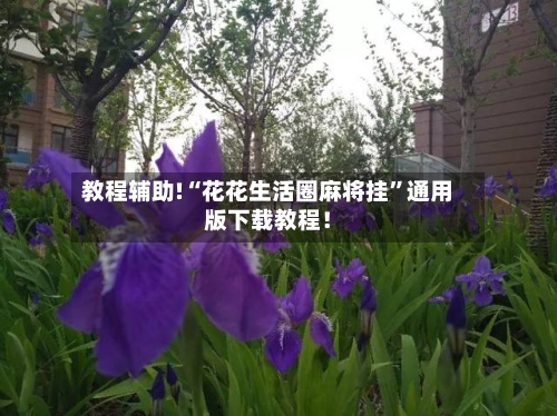 教程辅助!“花花生活圈麻将挂”通用版下载教程！