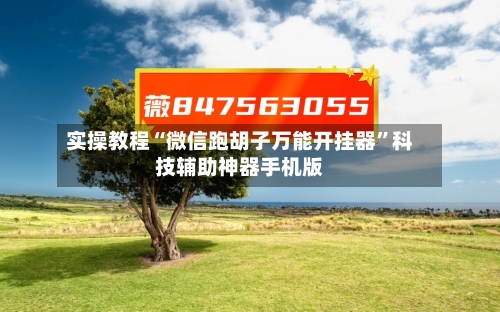 实操教程“微信跑胡子万能开挂器”科技辅助神器手机版