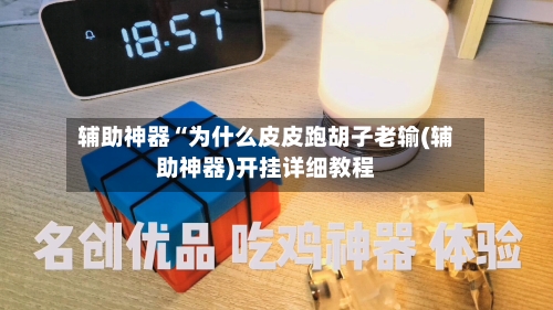 辅助神器“为什么皮皮跑胡子老输(辅助神器)开挂详细教程-第3张图片