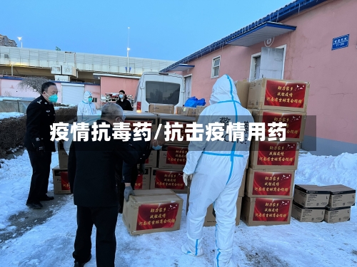 疫情抗毒药/抗击疫情用药