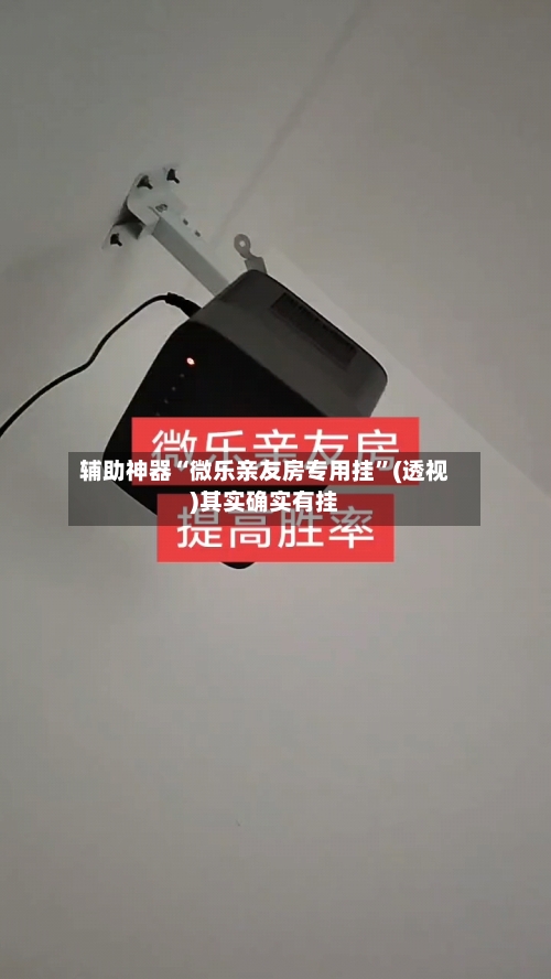 辅助神器“微乐亲友房专用挂”(透视)其实确实有挂-第3张图片