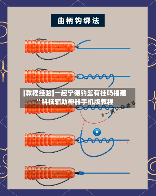 [教程经验]一起宁德钓蟹有挂吗福建”科技辅助神器手机版教程-第1张图片