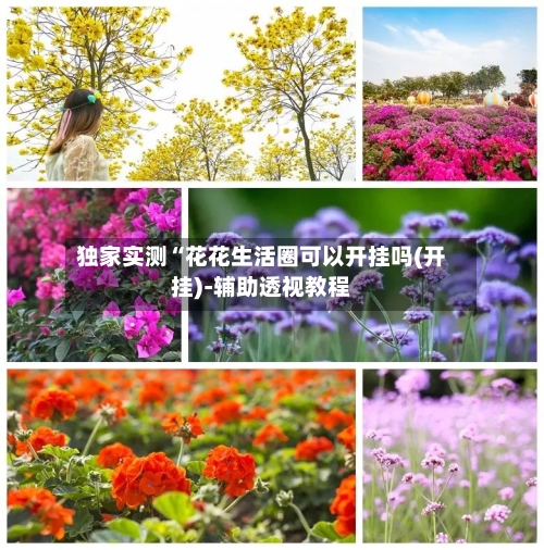 独家实测“花花生活圈可以开挂吗(开挂)-辅助透视教程-第1张图片