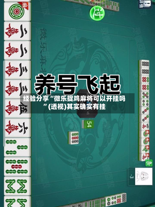 经验分享“微乐捉鸡麻将可以开挂吗”(透视)其实确实有挂
