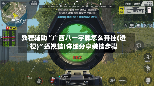 教程辅助“广西八一字牌怎么开挂(透视)”透视挂!详细分享装挂步骤