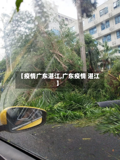 【疫情广东湛江,广东疫情 湛江】
