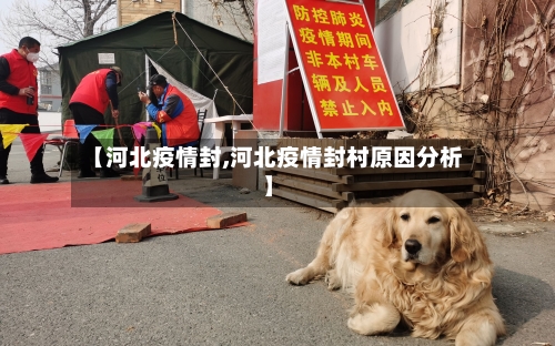 【河北疫情封,河北疫情封村原因分析】