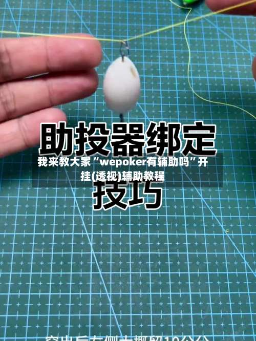 我来教大家“wepoker有辅助吗”开挂(透视)辅助教程-第3张图片