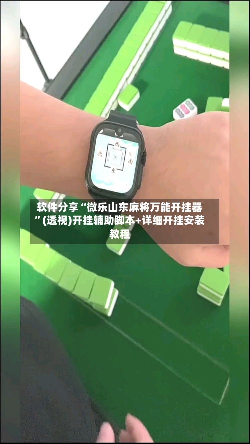 软件分享“微乐山东麻将万能开挂器”(透视)开挂辅助脚本+详细开挂安装教程-第3张图片