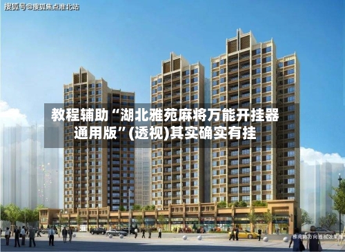 教程辅助“湖北雅苑麻将万能开挂器通用版”(透视)其实确实有挂