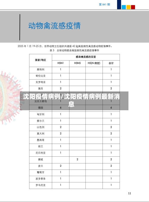 沈阳疫情病例/沈阳疫情病例最新消息