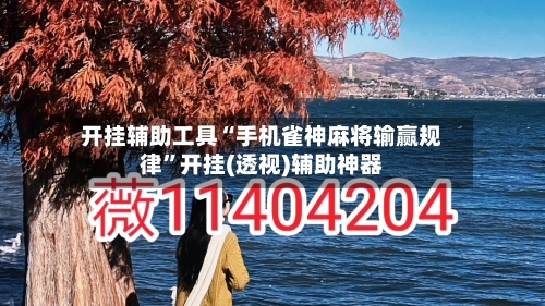 开挂辅助工具“手机雀神麻将输赢规律	”开挂(透视)辅助神器-第2张图片