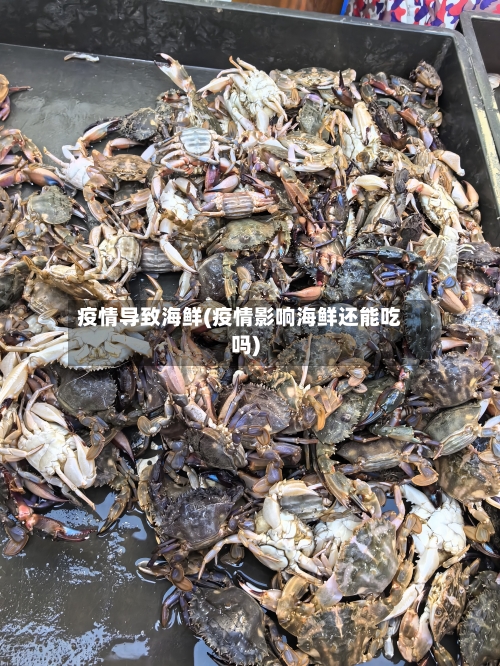 疫情导致海鲜(疫情影响海鲜还能吃吗)