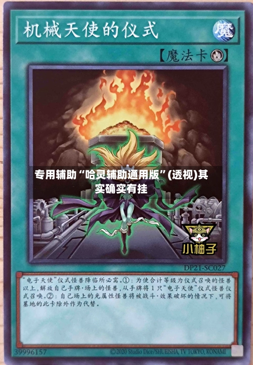 专用辅助“哈灵辅助通用版	”(透视)其实确实有挂-第1张图片