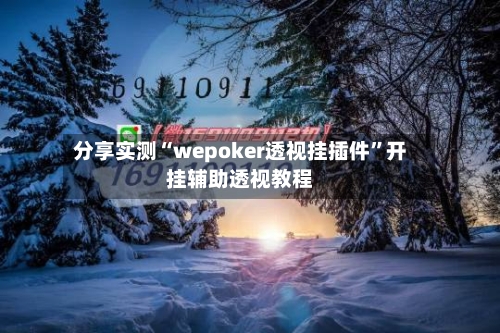分享实测“wepoker透视挂插件”开挂辅助透视教程