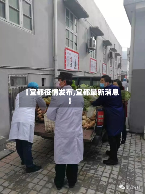 【宜都疫情发布,宜都最新消息】
